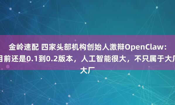 金岭速配 四家头部机构创始人激辩OpenClaw：目前还是0.1到0.2版本，人工智能很大，不只属于大厂